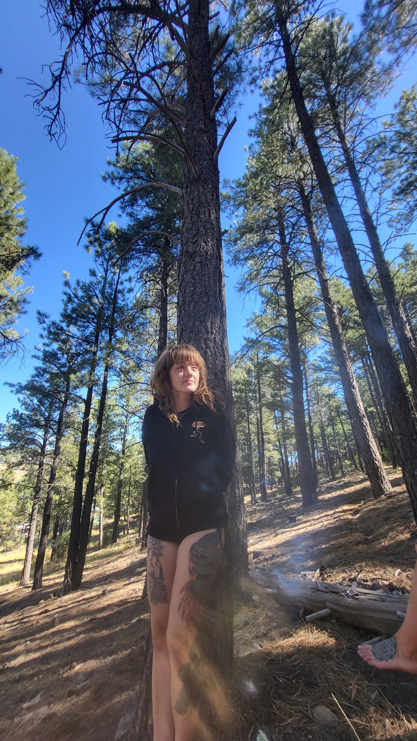 🍄 Mycelial Jump 🐸 - Hoodie