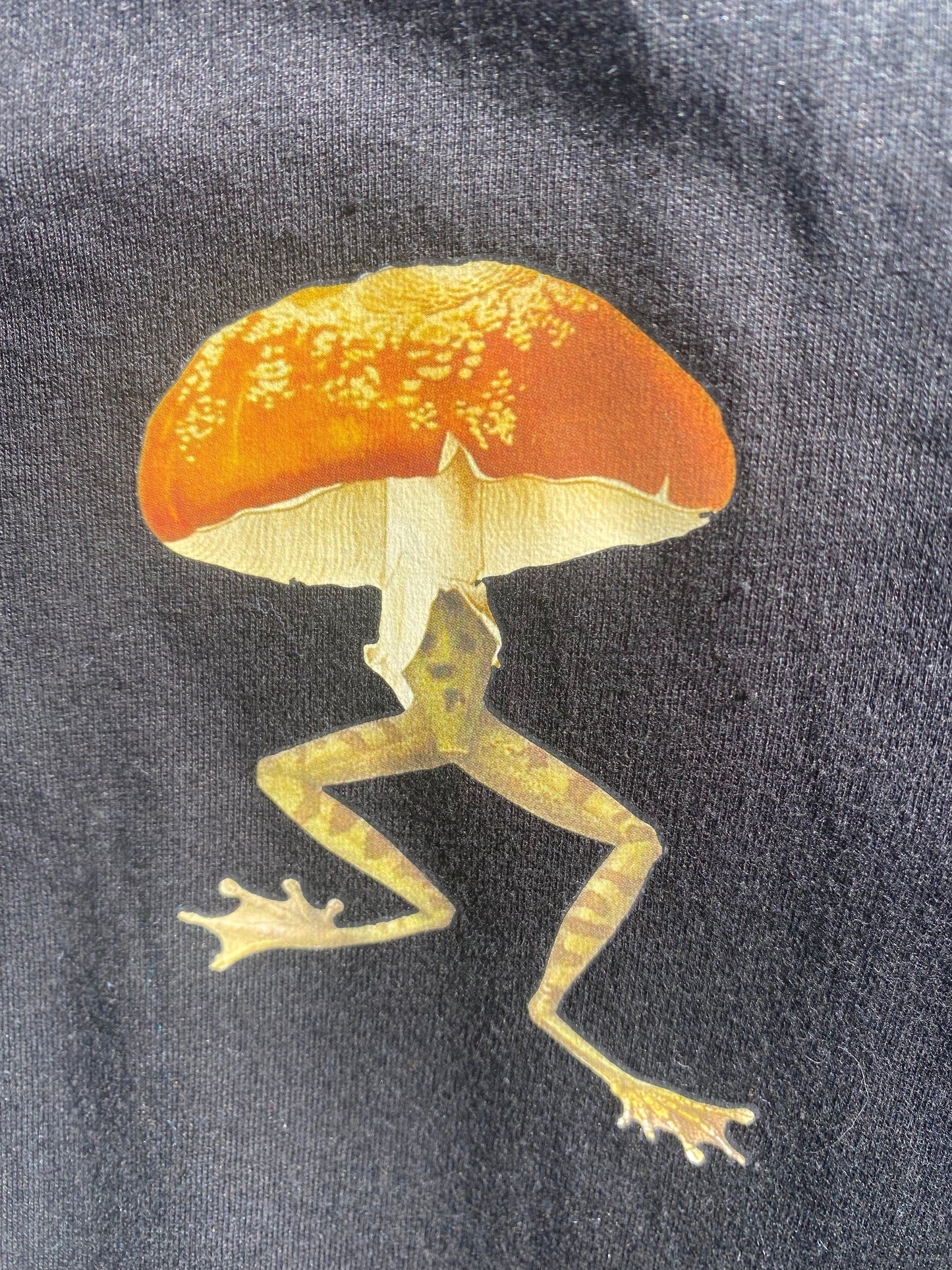 🍄 Mycelial Jump 🐸 - Hoodie